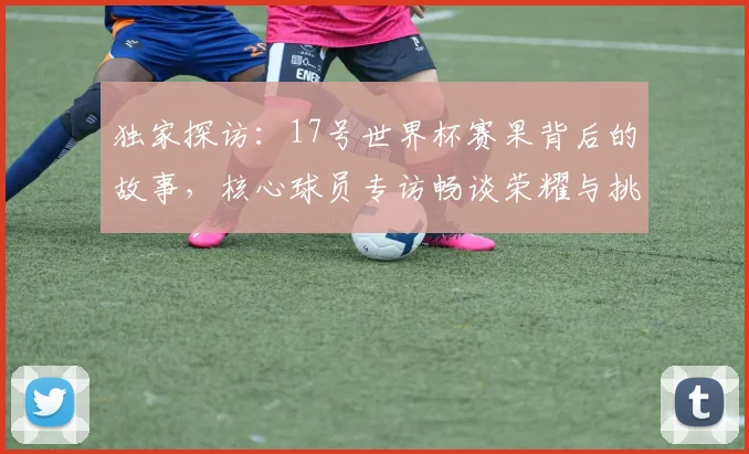 独家探访:17号世界杯赛果背后的故事,核心球员专访畅谈荣耀与挑战