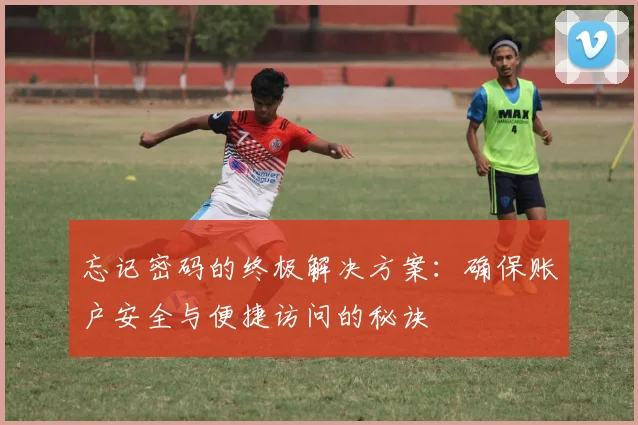 忘记密码的终极解决方案：确保账户安全与便捷访问的秘诀